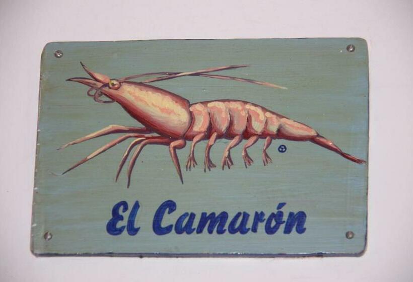 スタンダードルーム, La Trancada