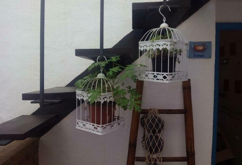 スタンダードルーム, La Trancada