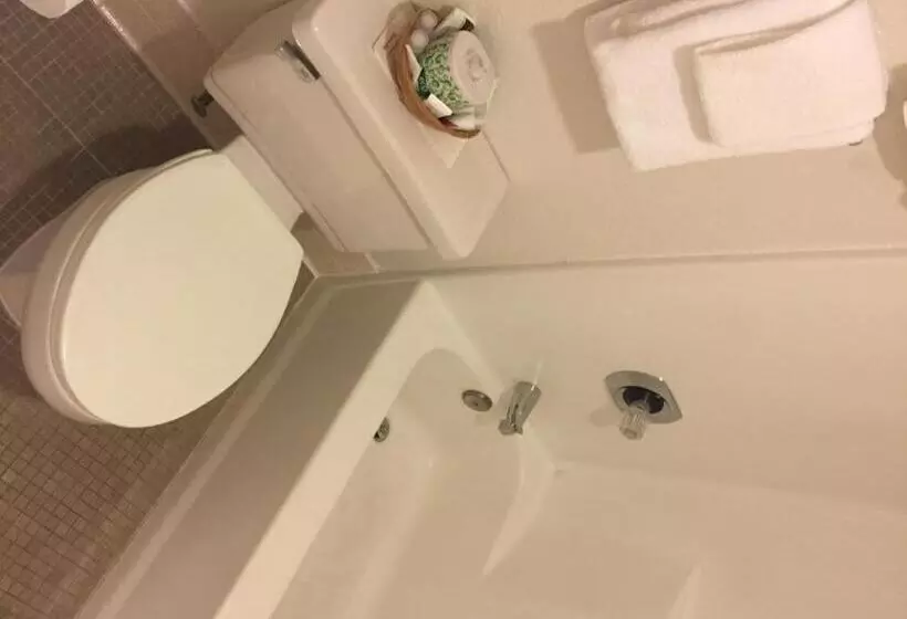 اتاق لوکس با تخت بزرگ, Miners Inn