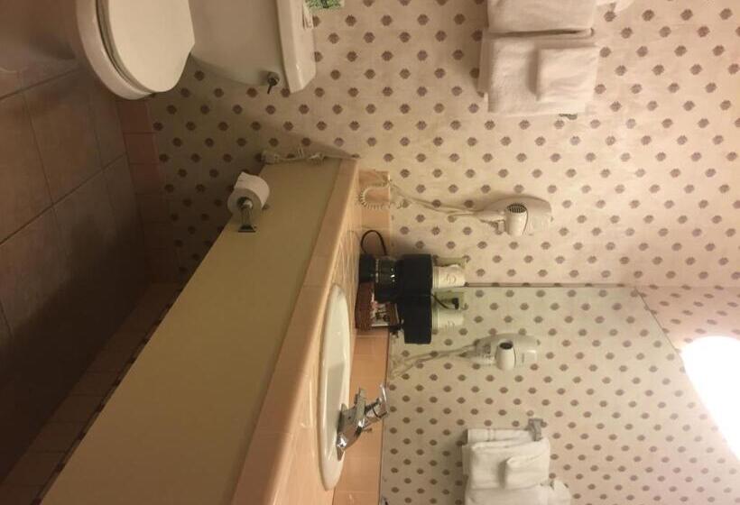 غرفة قياسية سرير كينج, Miners Inn