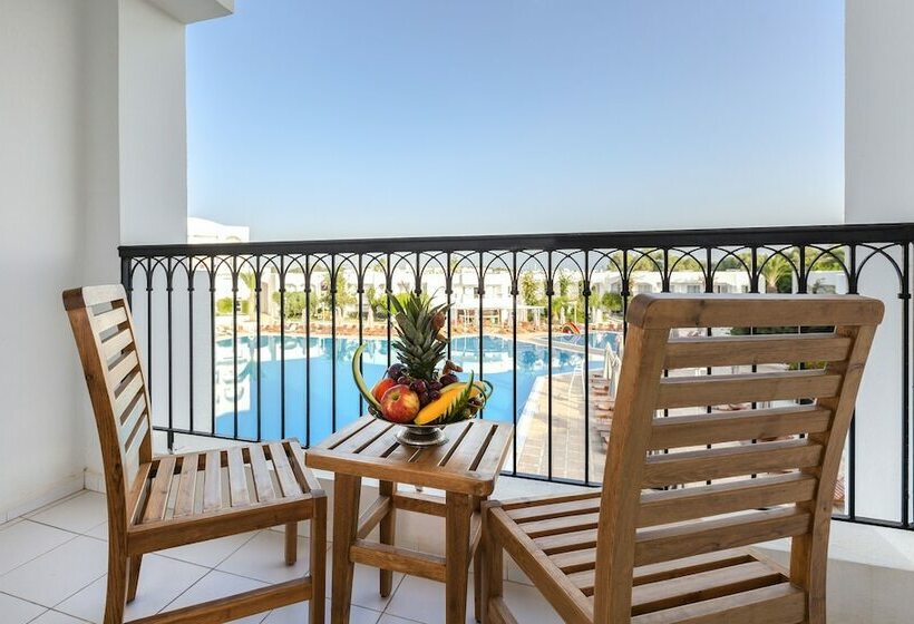 اتاق کلاس بیزنس, El Mouradi Gammarth