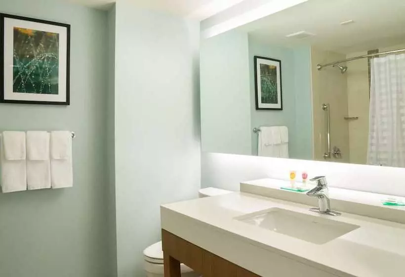 ２ダブルベッドのスタンダードルーム, Hyatt Place Daytona Beach Oceanfront