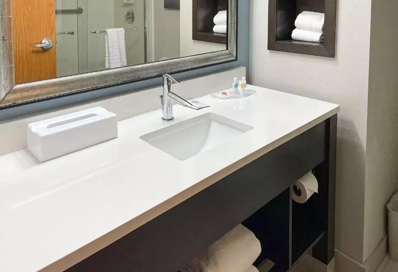 اتاق استاندارد با تخت بزرگ, Comfort Inn & Suites Melbourne Viera