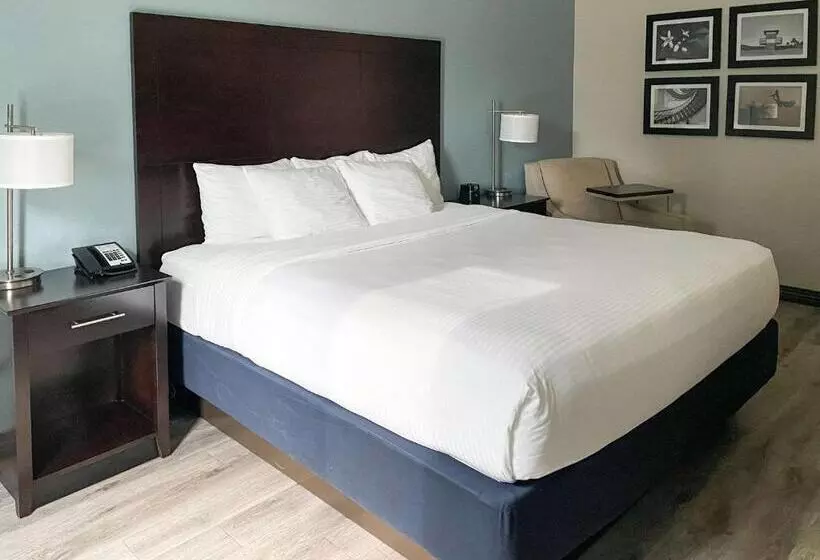 اتاق استاندارد با تخت بزرگ, Comfort Inn & Suites Melbourne Viera