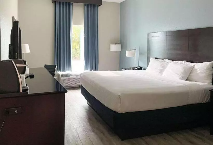 سوئیت با تخت بزرگ, Comfort Inn & Suites Melbourne Viera