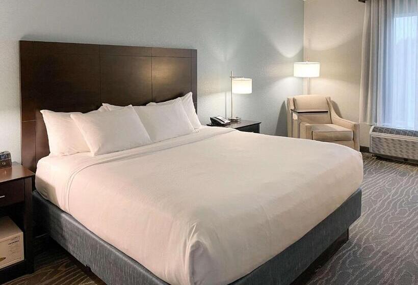 장애인을 위한 킹사이즈 침대 스탠다드 룸, Comfort Inn & Suites Melbourneviera
