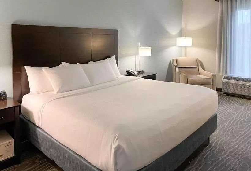 اتاق استاندارد با تخت بزرگ برای معلولان, Comfort Inn & Suites Melbourne Viera