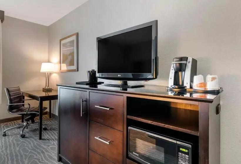 اتاق استاندارد برای معلولان, Comfort Inn & Suites Melbourne Viera