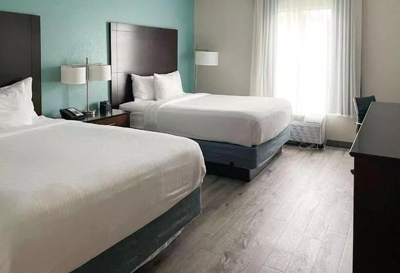 اتاق استاندارد برای معلولان, Comfort Inn & Suites Melbourne Viera