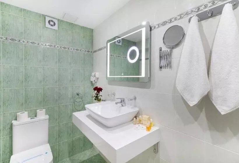 Chambre Standard, Devin Spa
