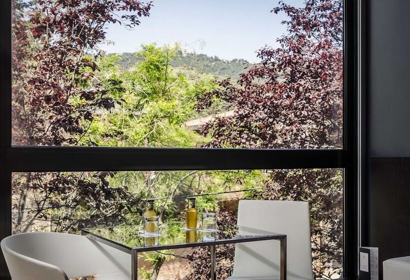 اتاق استاندارد, Ikonik Anglí