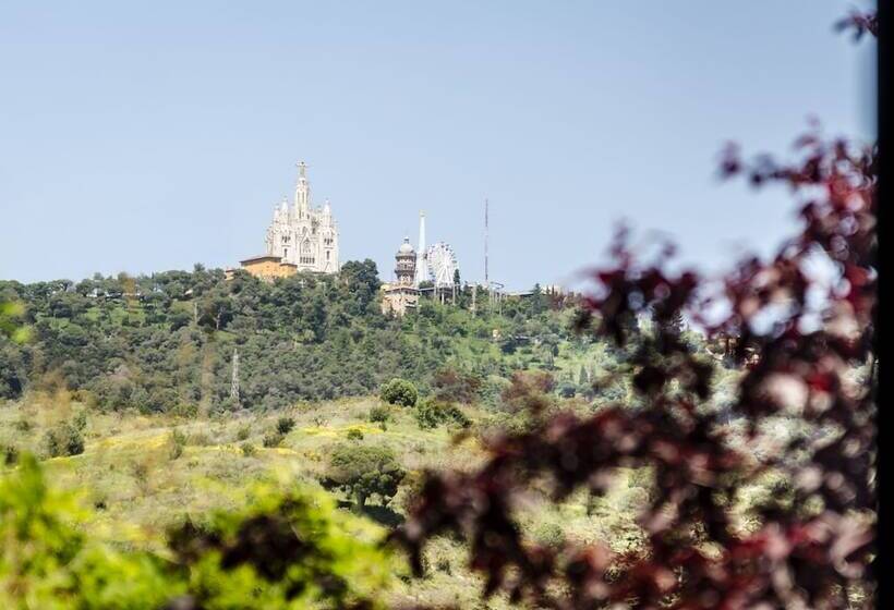 اتاق استاندارد, Ikonik Anglí