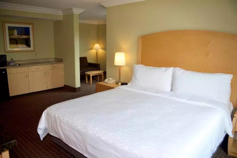 اتاق استاندارد با تخت بزرگ, Holiday Inn Express Hotel & Suites Vacaville, An Ihg