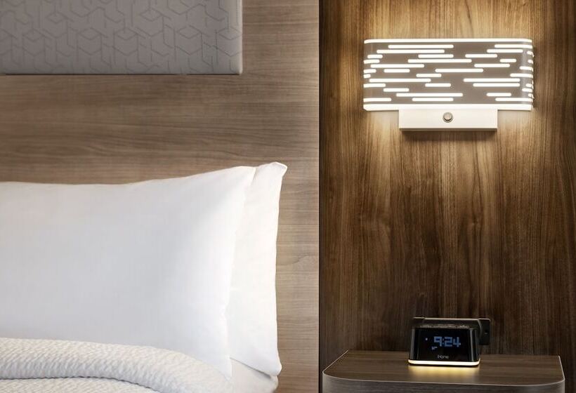 스탠다드 룸, Holiday Inn Express & Suites East Greenbush Albany Skyline An Ihg