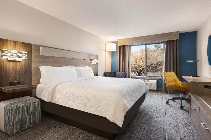 キングサイズベッドのスタンダードルーム, Holiday Inn Express & Suites East Greenbush Albany Skyline An Ihg
