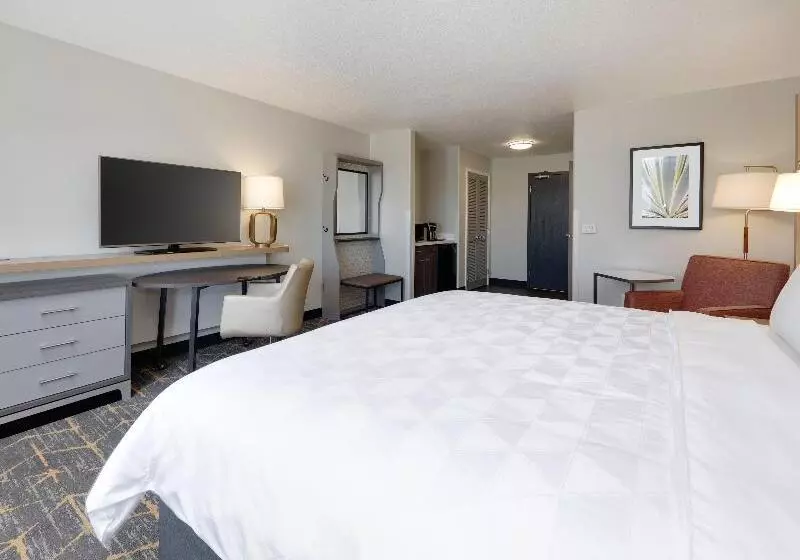キングサイズベッドのスタンダードルーム, Holiday Inn Yuma, An Ihg