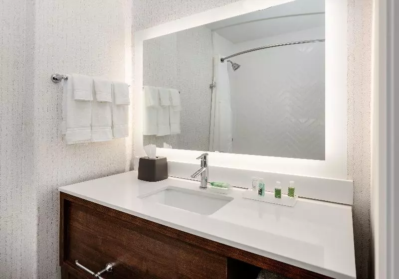 キングサイズベッドのスタンダードルーム, Holiday Inn Yuma, An Ihg