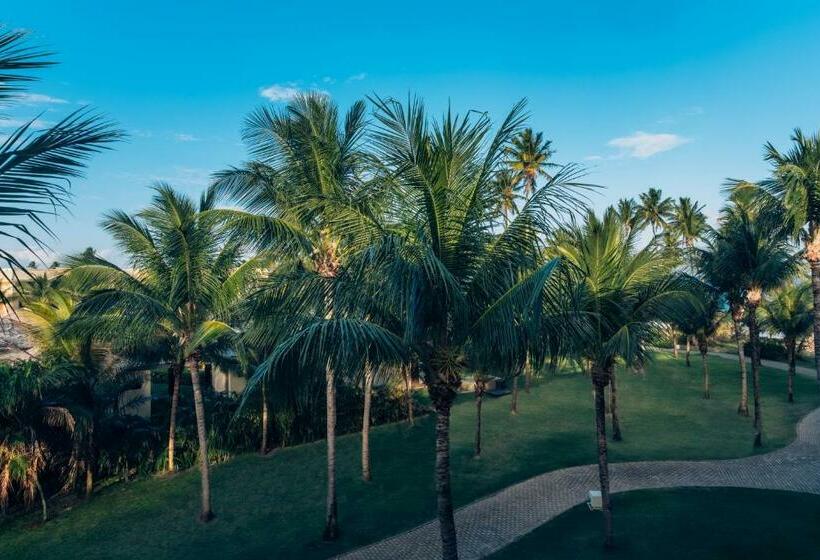 Номер Стандарт, Iberostar Waves Bahia - All Inclusive
