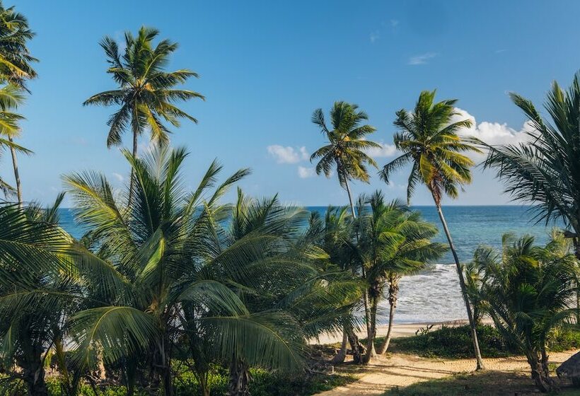 Номер Стандарт, Iberostar Waves Bahia - All Inclusive