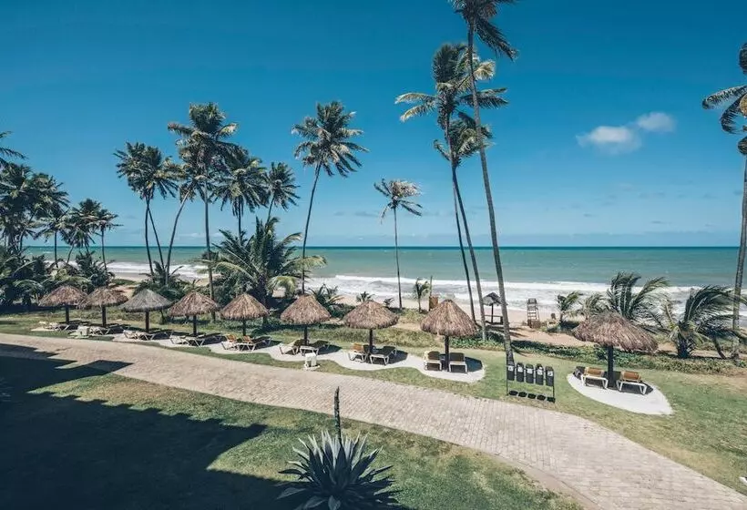 اتاق استاندارد, Iberostar Waves Bahia - All Inclusive