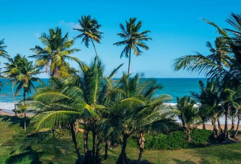 سوئیت جونیور با چشم‌انداز, Iberostar Waves Bahia - All Inclusive