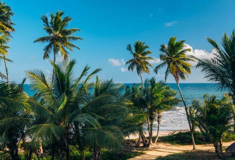 Номер Superior Вид на Море, Iberostar Waves Bahia - All Inclusive