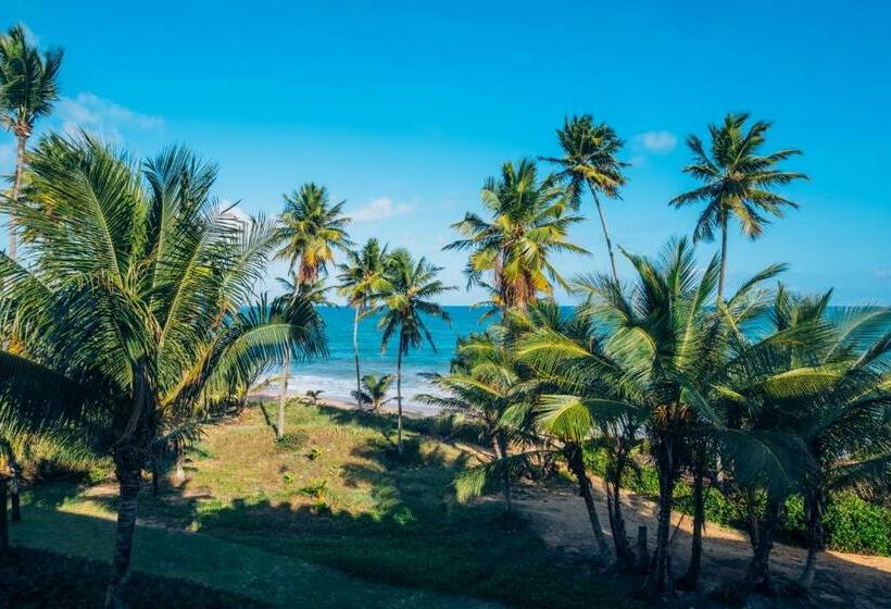 스탠다드 룸 바다 전망, Iberostar Waves Bahia - All Inclusive