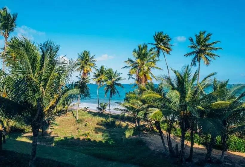 اتاق استاندارد با چشم‌انداز دریا, Iberostar Waves Bahia - All Inclusive