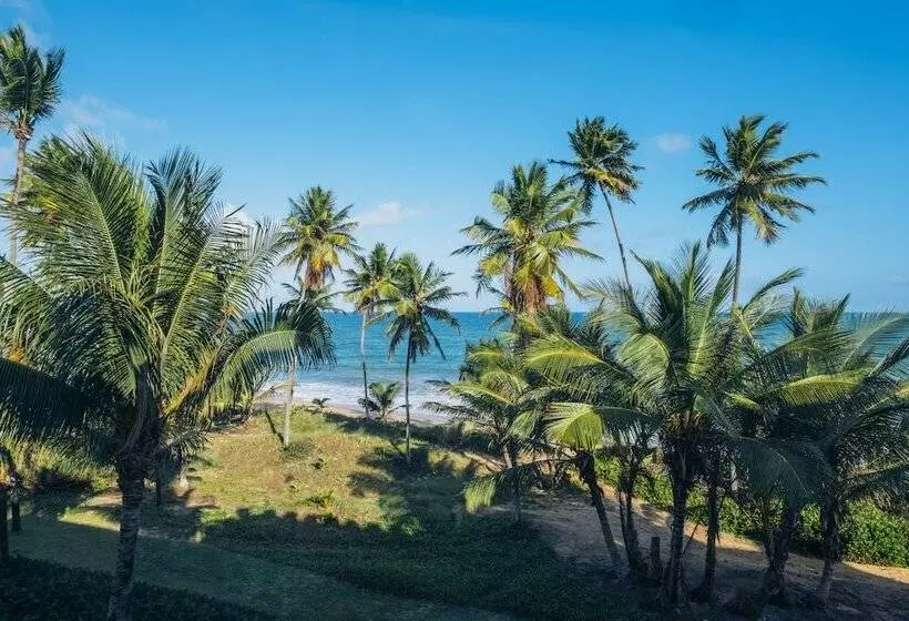 اتاق استاندارد با چشم‌انداز دریا, Iberostar Waves Bahia - All Inclusive