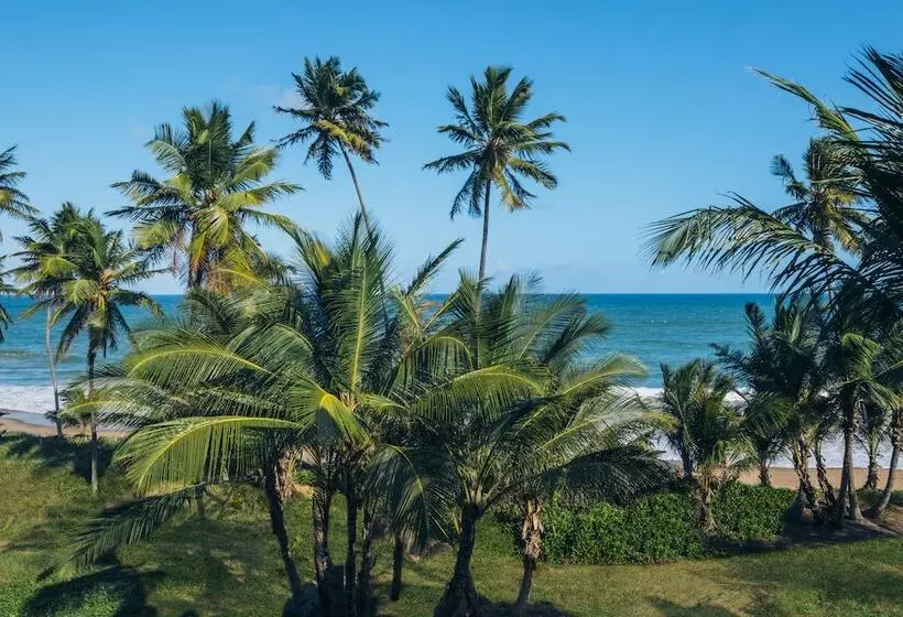 سوییت جونیور با چشم‌انداز دریا, Iberostar Waves Bahia - All Inclusive