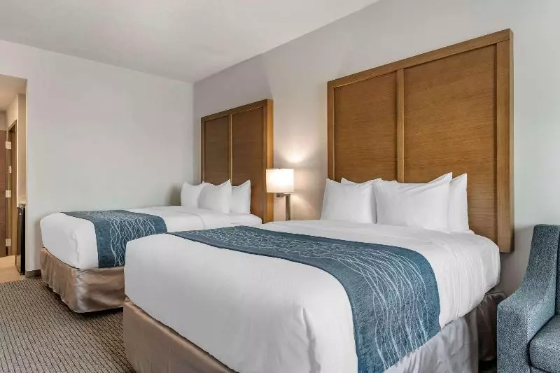 اتاق استاندارد با چشم‌انداز دریا, Iberostar Waves Bahia - All Inclusive