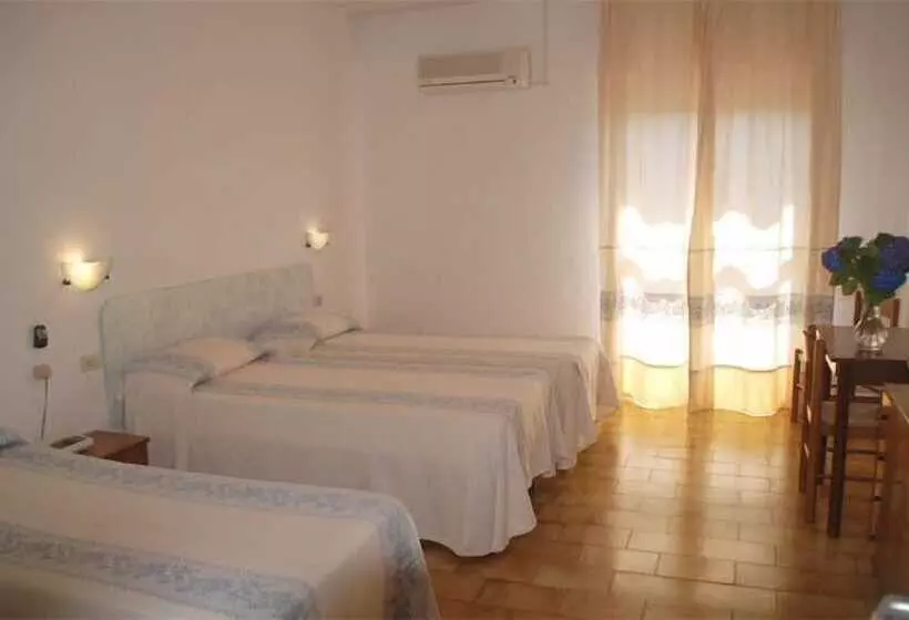 اتاق استاندارد سه نفره, Citti