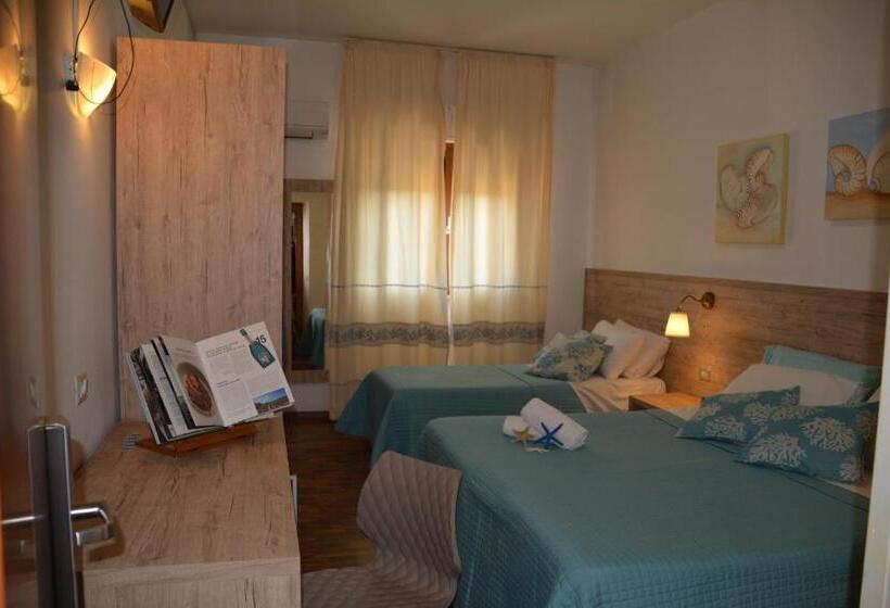 חדר סטנדרט לשלושה, Citti