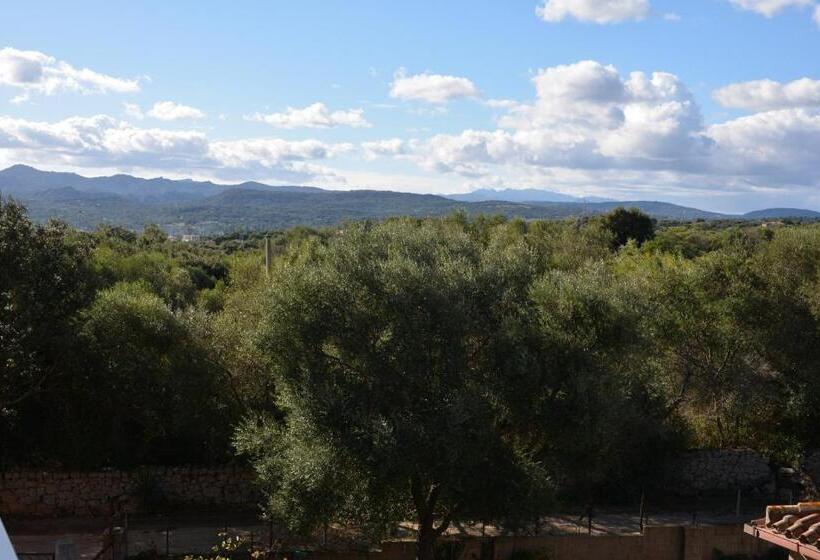 غرفة قياسية ثلاثية مزودة بشرفة, Citti