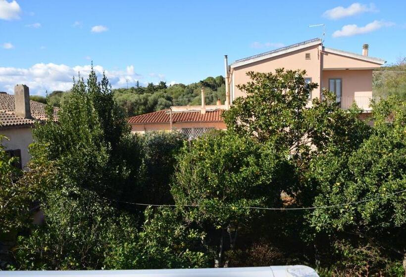 غرفة قياسية ثلاثية مزودة بشرفة, Citti