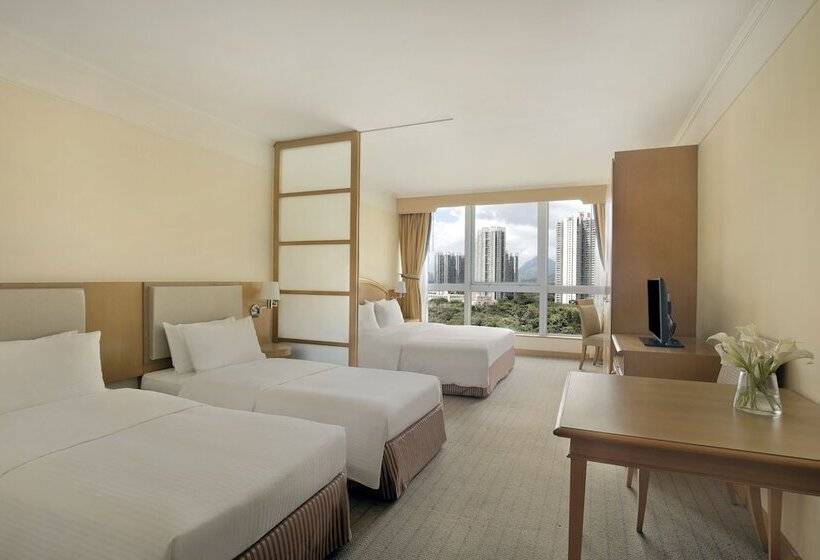 اتاق خانوادگی, Harbour Plaza Resort City