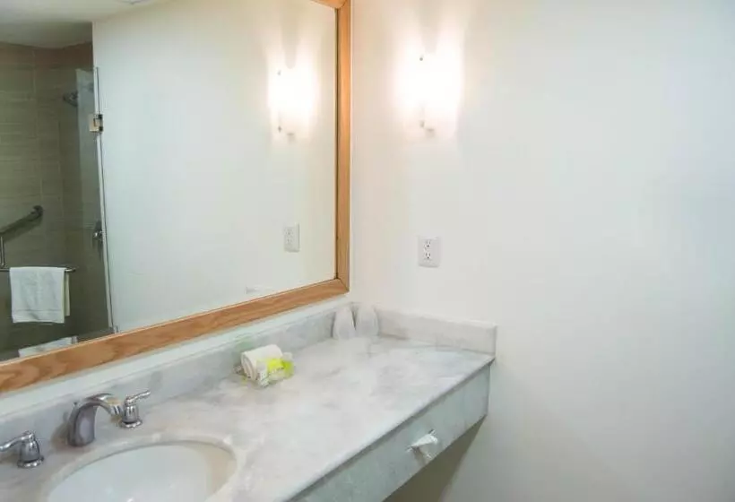 キングサイズベッドのスタンダードルーム, Holiday Inn Hotel & Suites Centro Historico, An Ihg