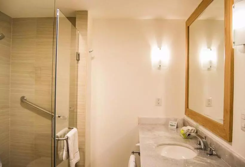 ２ダブルベッドのスタンダードルーム, Holiday Inn Hotel & Suites Centro Historico, An Ihg