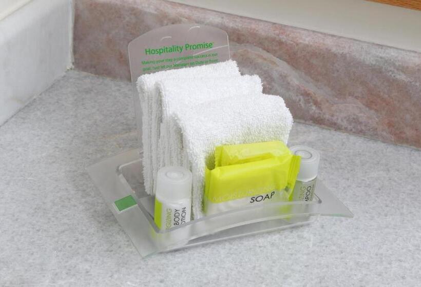 身障者適用スイートルーム, Holiday Inn Hotel & Suites Centro Historico, An Ihg