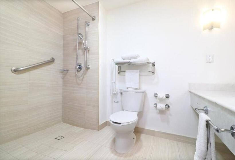 身障者適用スイートルーム, Holiday Inn Hotel & Suites Centro Historico, An Ihg