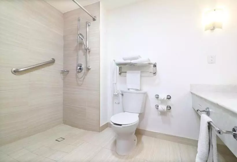 身障者適用スイートルーム, Holiday Inn Hotel & Suites Centro Historico, An Ihg