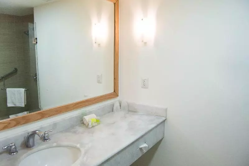 キングサイズベッドのスタンダードルーム, Holiday Inn Hotel & Suites Centro Historico, An Ihg