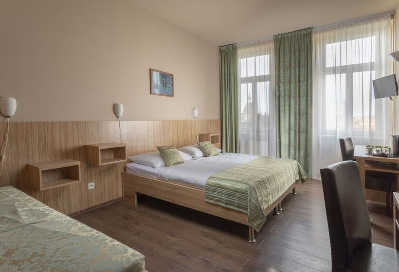 اتاق استاندارد سه نفره, Prague Centre Plaza