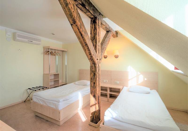 اتاق استاندارد, Rija Domus