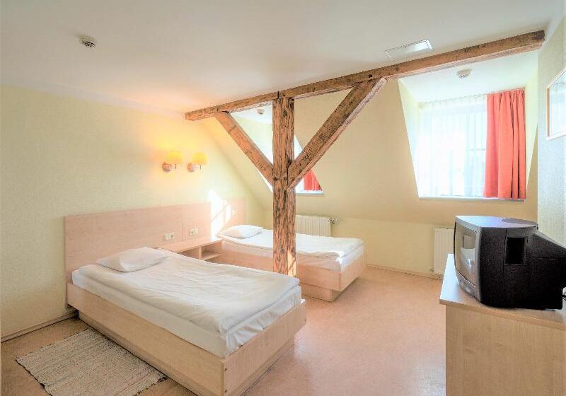 اتاق استاندارد, Rija Domus