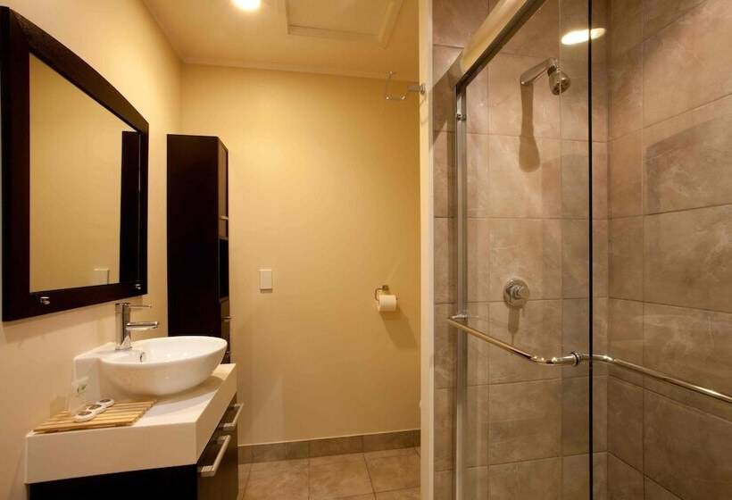 اتاق اکونومی, Auckland Airport Kiwi