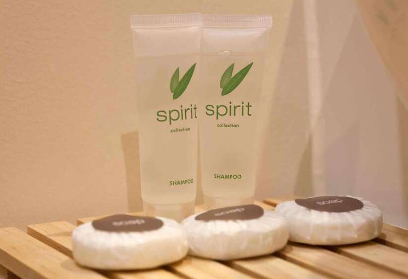 اتاق استاندارد, Auckland Airport Kiwi