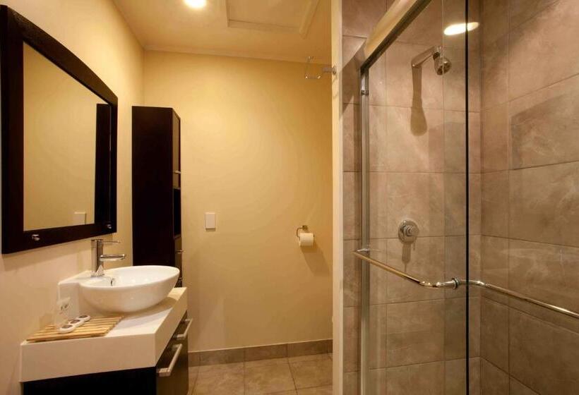 اتاق پرمیوم, Auckland Airport Kiwi