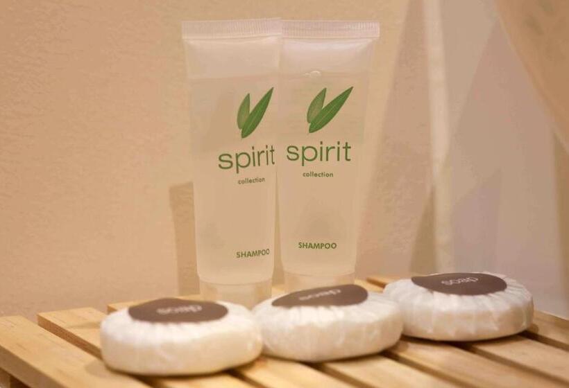 اتاق اکونومی, Auckland Airport Kiwi