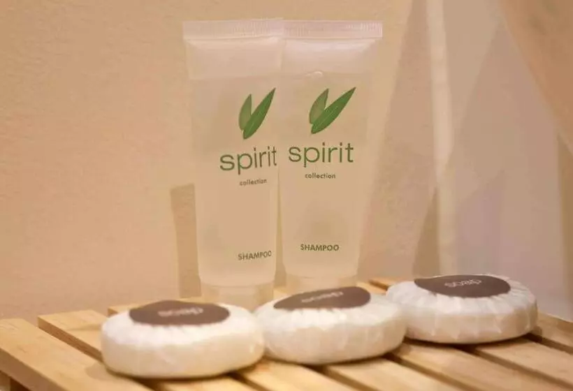 家族用の部屋エコノミー, Auckland Airport Kiwi